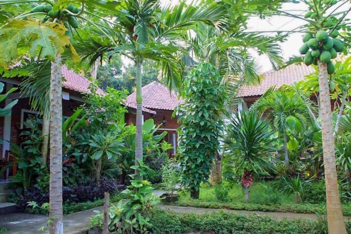 Enak Bungalow Amed Esterno foto